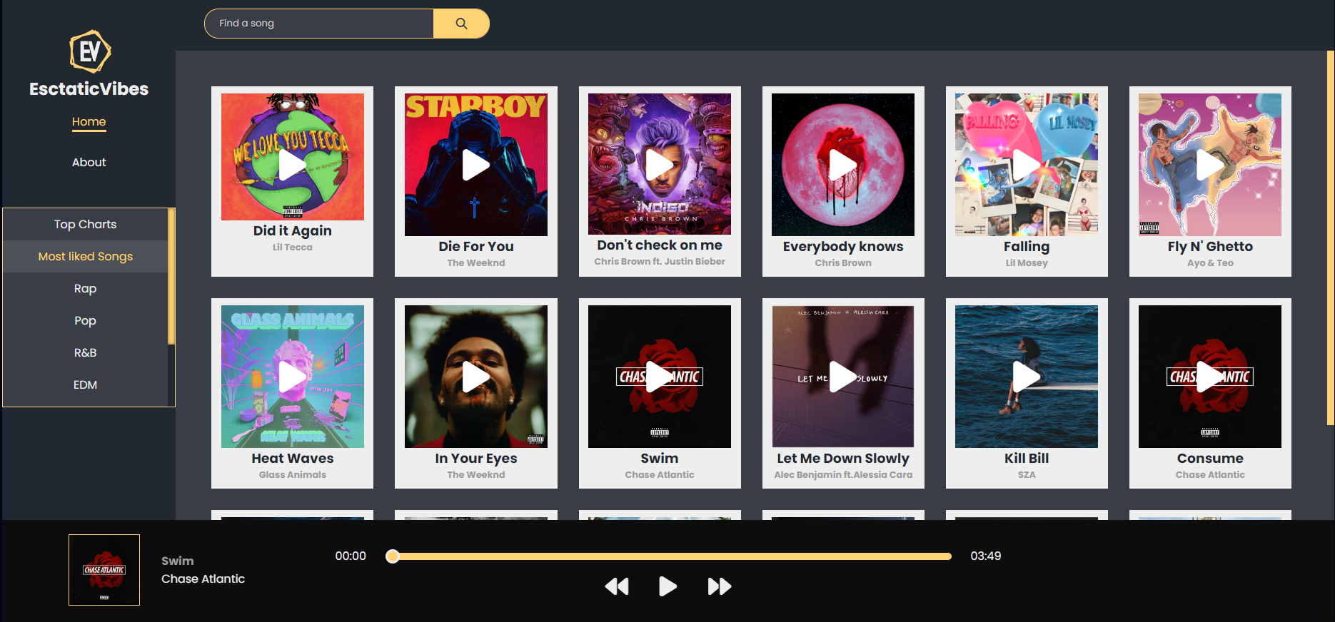 An image of the EsctaticVibes project.